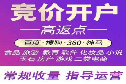 某电商平台的SEM策略与效果展示